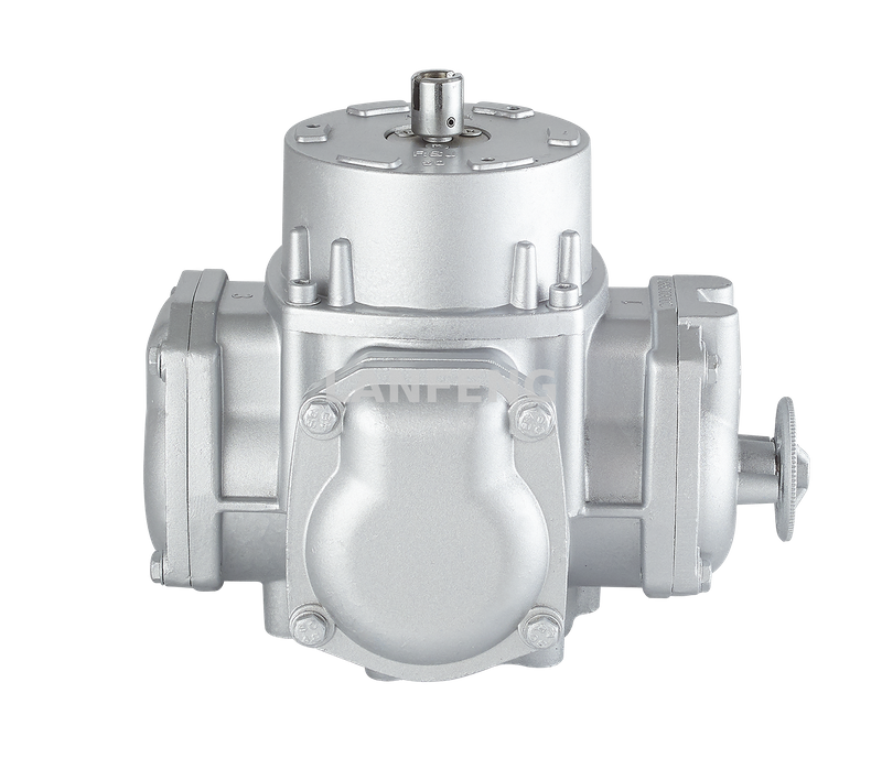 RSJ-50 Flow Meter